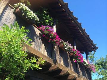 Фотографии Гостевой дом Stefanina Guesthouse г. Боженците (Болгария) №1 Фото Гостевой дом Stefanina Guesthouse г. Боженците 1